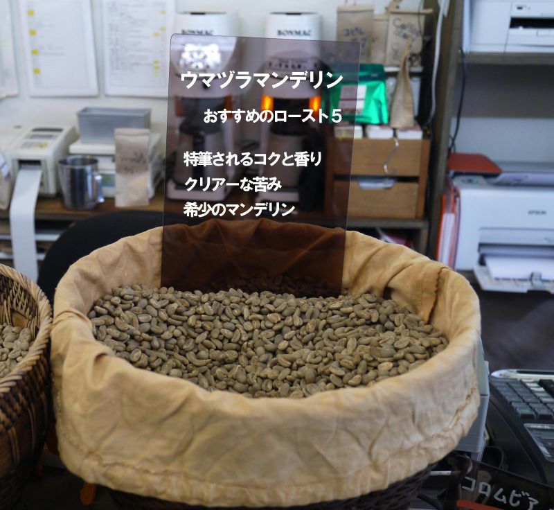 ウマヅラ２_800