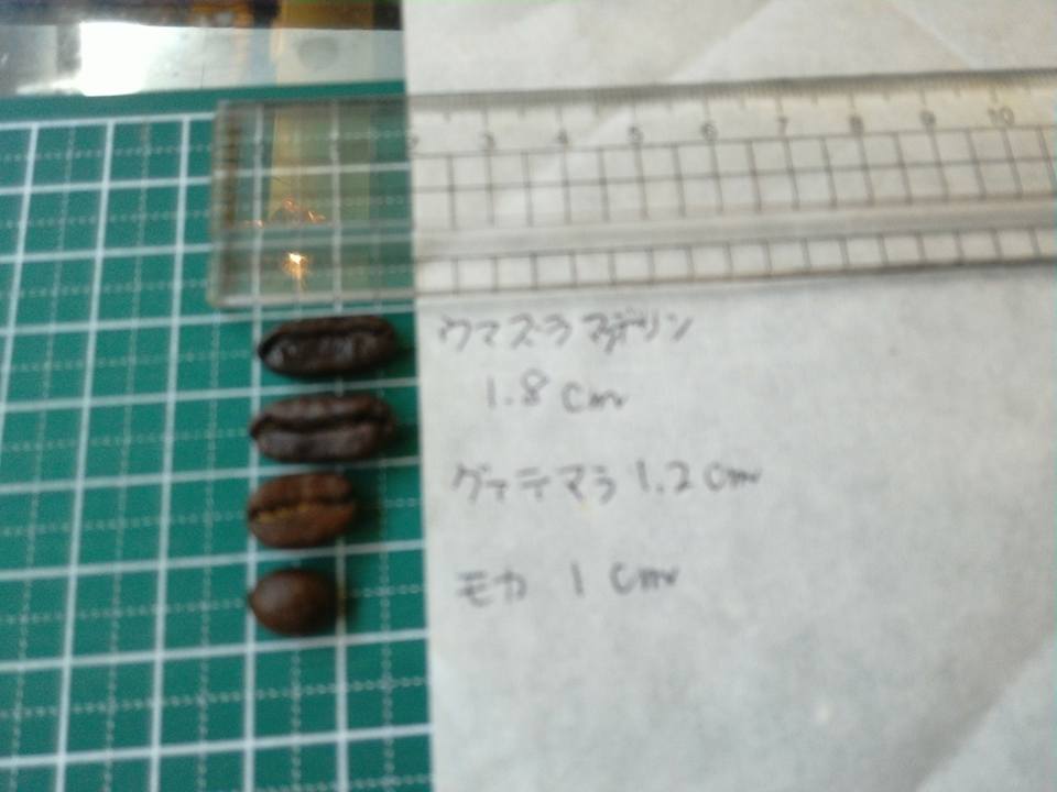 13781923_829311690504153_5067484069707884472_n